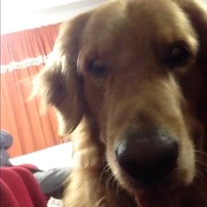 Meet your Posher, Veronica